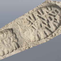 shoe sole