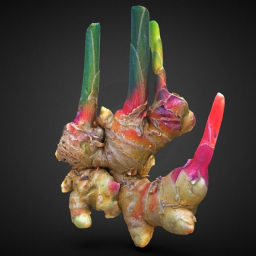 hot  spicy ginger root, no statue this time