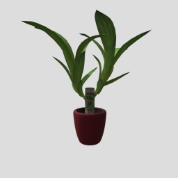 Indoor Plant 02 Fbx