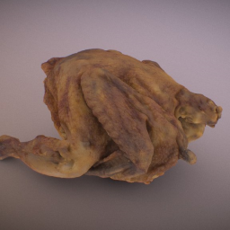 roast chicken (Downloadable)