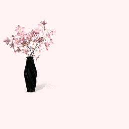 flowers with the vase