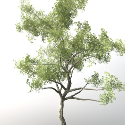 Tree For Games