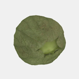 Tomatillo 3D Fruit Scan