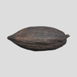 Cacao pod