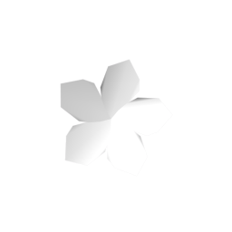 Blossom Petal