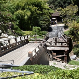 Japanese Gardens at the Huntington