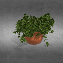 Plant Pot Ivy