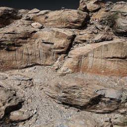 Rock art panel 2. Aripe, Tenerife