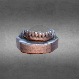 MOLDE DENTÁRIO 2 - DENTAL MOLD 2
