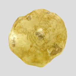 Jicama Sha Ge 